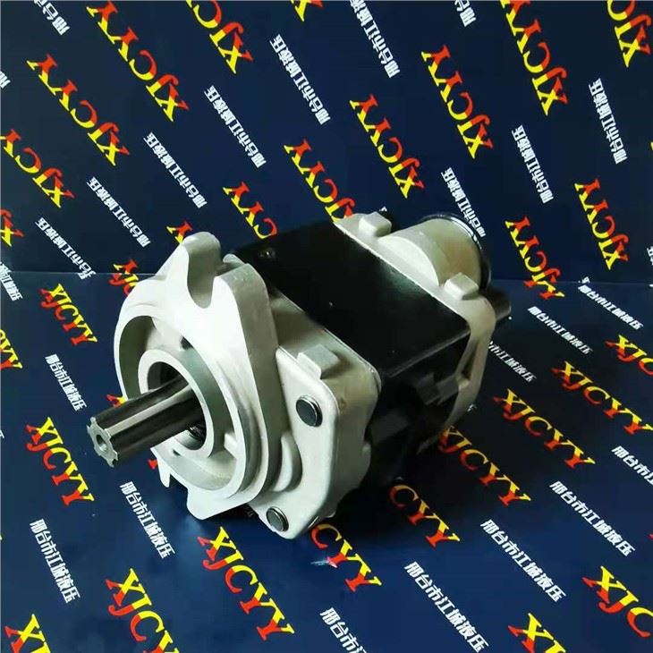HELI Forklift Pump H24C7-10011